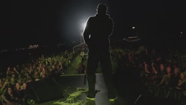 Huge Crowd Excited and Cheering on With Artist Performing on Stage — Stock Video