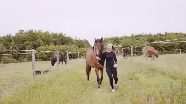 Jeune femme dans la marche de vitesse d'équitation avec cheval à travers l'herbe — Video