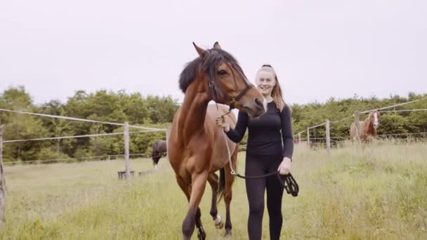 Jeune femme dans la marche de vitesse d'équitation avec cheval à travers l'herbe — Video