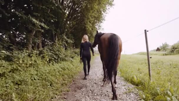 Frau läuft mit Pferd auf Feldweg — Stockvideo