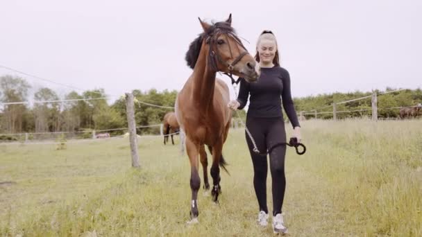 Giovane donna in equitazione marcia a piedi con cavallo attraverso erba — Video Stock