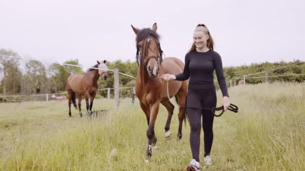 Mladá žena v jízdní soukolí chůze s koněm přes trávu — Stock video