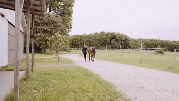 Mulher segurando rédeas e correndo com cavalo — Vídeo de Stock