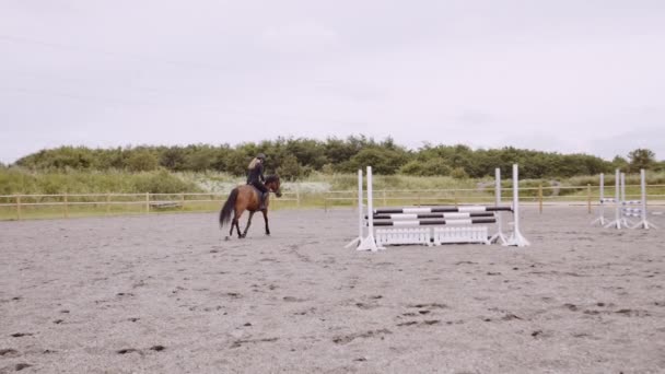 ジャンプフェンスでパドックの周りの女性乗馬馬 — ストック動画