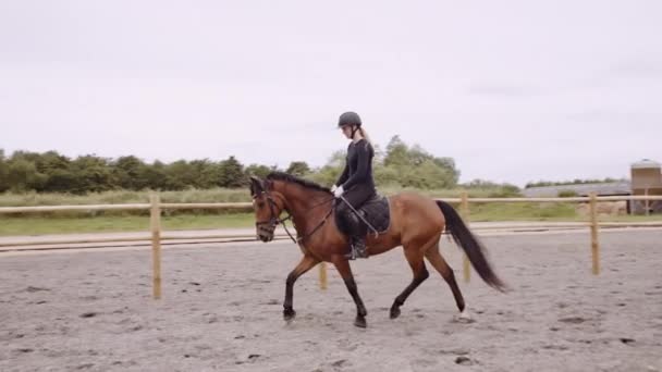 Γυναίκα ιππασία άλογο γύρω Paddock με Jumping Fences — Αρχείο Βίντεο