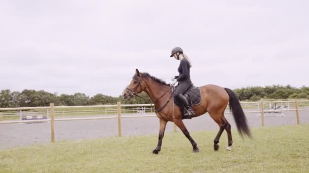 パドックで茶色の馬に乗る若い女性 — ストック動画