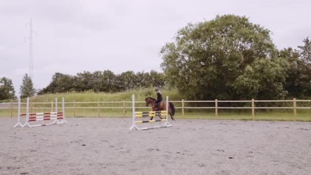 Vrouw paardrijden in Paddock met paard springen hekken — Stockvideo