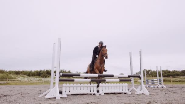 Mujer montando a caballo y saltando sobre la valla en Paddock — Vídeo de stock
