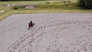 Paddock 'ta Zıplayan Kadın Atı Dronu