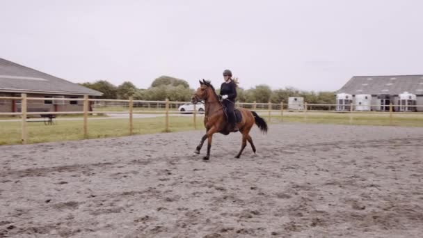 Młoda kobieta Koń skacze przez płot w Padoku — Wideo stockowe