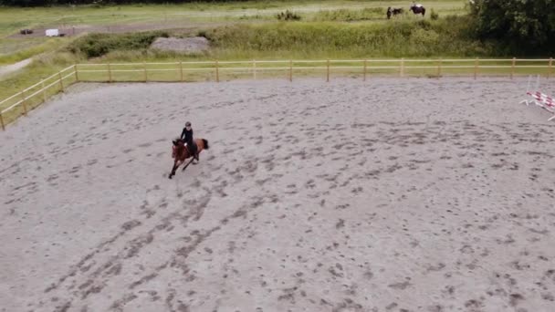 Drone Of Woman Horse Jumping Around Paddock — Stok Video