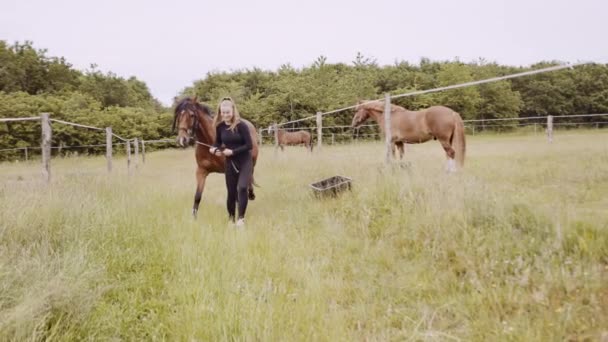 Giovane donna in equitazione marcia a piedi con cavallo attraverso erba — Video Stock