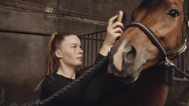 Mujer cepillando crin de caballo en establos — Vídeo de stock