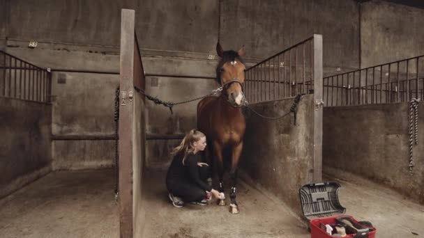 Kobieta pielęgnująca końskie kopyta w stajniach — Wideo stockowe