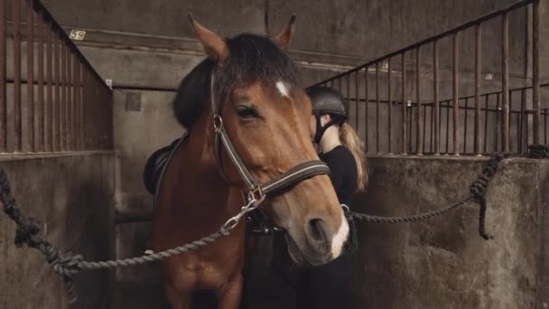 Mujer preparando silla de montar a caballo en establos — Vídeo de stock