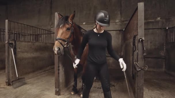 Mujer liderando caballo a través de establos — Vídeo de stock