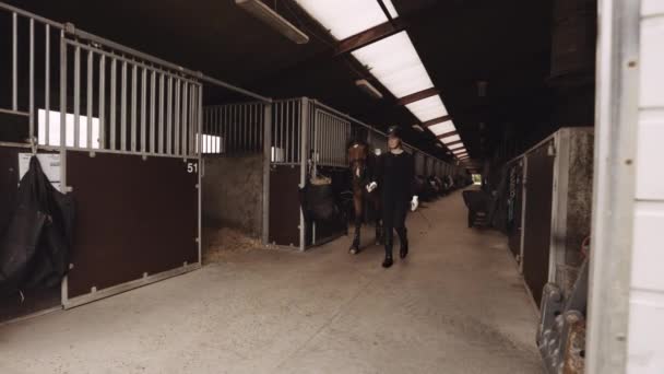 Donna che conduce cavallo con sella attraverso stalle — Video Stock