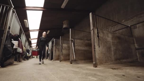 Nő sétál a bőrönddel, bár a ló stabil — Stock videók