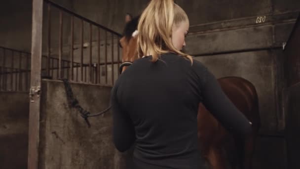 Женщина ухаживает за гривой лошади в конюшне — стоковое видео