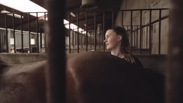 Femme toilettant le dos du cheval dans les écuries — Video