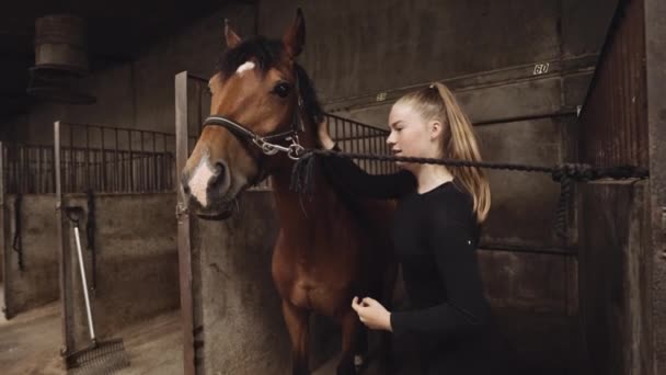 Молодая женщина груминг грива лошади в конюшнях — стоковое видео