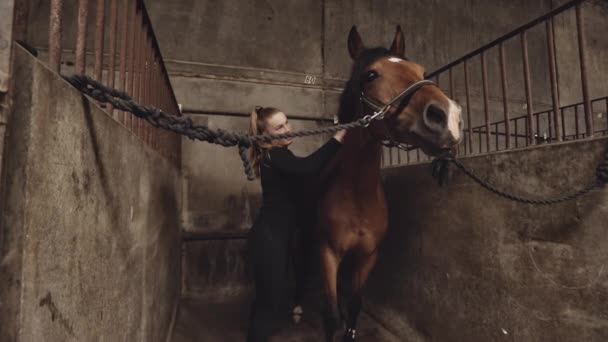 Молодая женщина ухаживает за лошадью в конюшне — стоковое видео