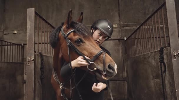 Женщина в седле передач прикрепляет уздечку к лошади в стойле — стоковое видео