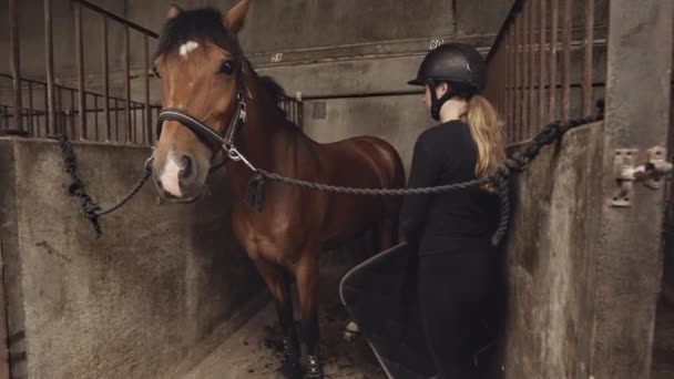 Mujer joven poniendo silla de montar a caballo en establo — Vídeo de stock