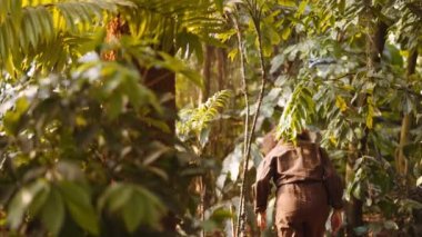 Güneşli Botanik Bahçelerini Keşfeden Genç Kadın