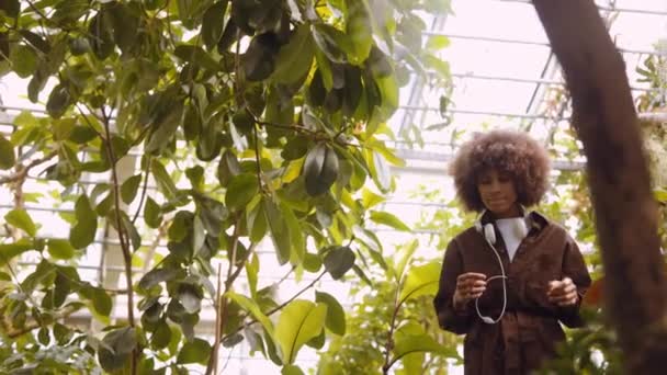 Mujer joven explorando jardines botánicos — Vídeos de Stock