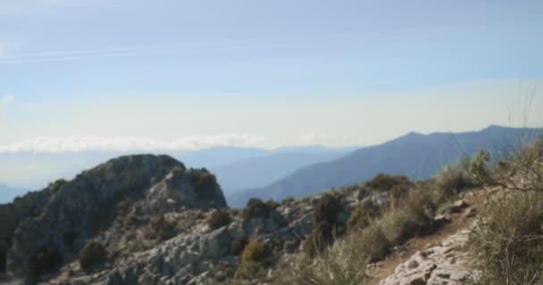 Mujer rubia en ropa de deporte mirando a la vista en La Concha — Vídeos de Stock