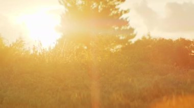 Kırsal ve Orman 'ın üzerinde parıldayan görkemli günbatımı