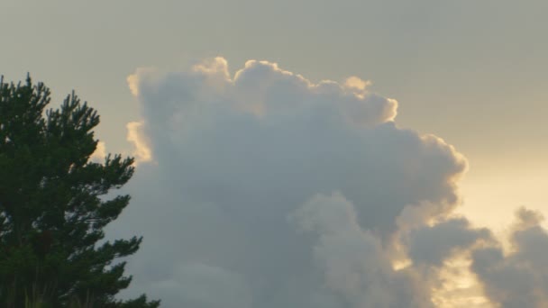 Αντηλιακά αφράτα σύννεφα κινούνται κατά μήκος του ουρανού στο ηλιοβασίλεμα — Αρχείο Βίντεο