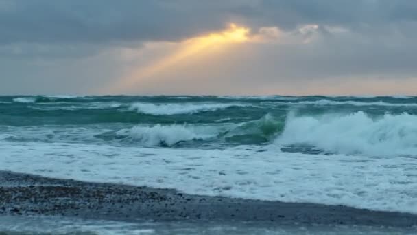 日没時に波をビーチに転がす — ストック動画