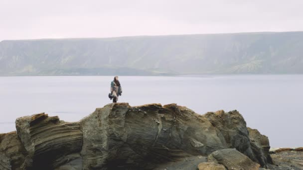 Man With Guitar Case Standing On Rock In Icelandic Landscape — Stock Video