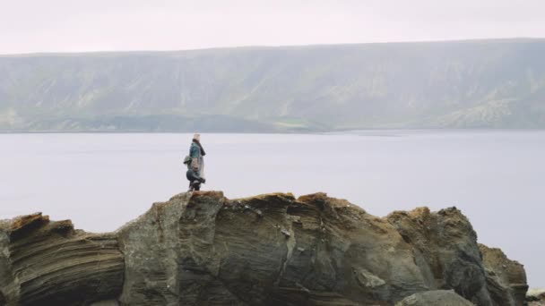 Man met gitaarkoffer staand op rots in IJslands landschap — Stockvideo