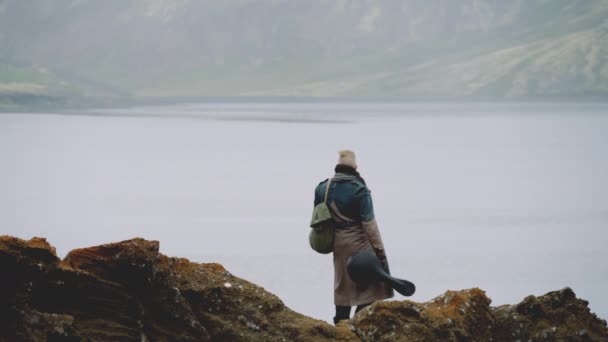 Reisender Mann mit Gitarre auf Rock in isländischer Landschaft — Stockvideo