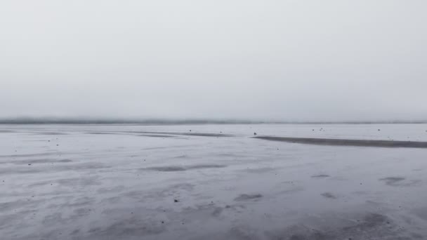 Drone volo sulla spiaggia di sabbia nera dal mare nebbioso — Video Stock