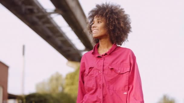 Leende kvinna med afro hår promenader tillsammans i ljusa rosa toppen — Stockvideo