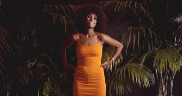Mujer con pelo afro en vestido naranja empezando a moverse y bailar — Vídeos de Stock
