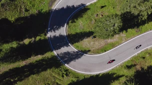 Drone Shot z bujnych drzew leśnych i zakrzywionej drogi Idąc w góry — Wideo stockowe
