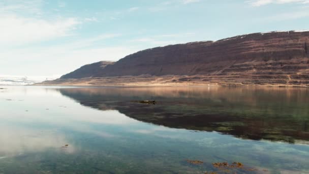 Sur l'eau réfléchissante du fjord vers les montagnes — Video