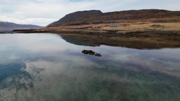 Fjord With Seals Hauled Out On Rocks — ストック動画