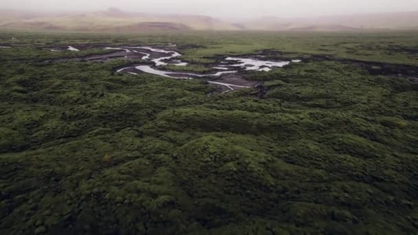 川を編んだ緑の溶岩原の風景の上にドローン — ストック動画