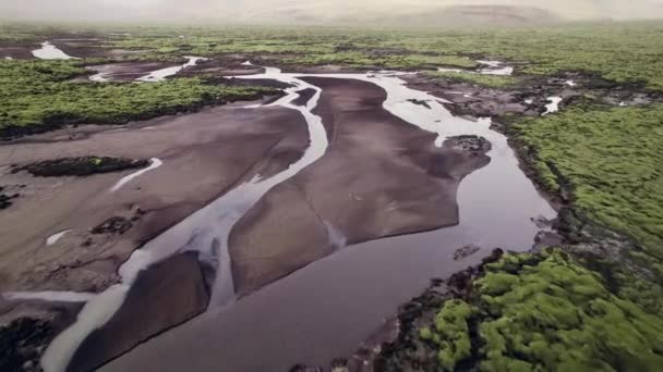 Політ безпілотника над плетеною річкою в зеленому лавовому полі лавового пейзажу — стокове відео