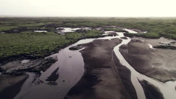 Drohnenflug über geflochtenem Fluss in grüner Lavafeldlandschaft — Stockvideo