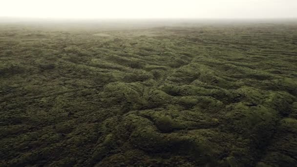 Κηφήνας πάνω από ομιχλώδες πράσινο τοπίο πεδίο λάβας — Αρχείο Βίντεο