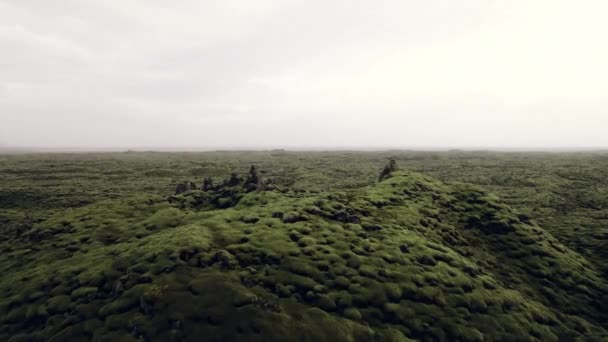 Drone over mistige groene lava veld landschap — Stockvideo