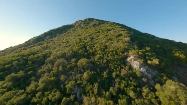 Drone sobre encosta florestada e mar sob sol brilhante — Vídeo de Stock