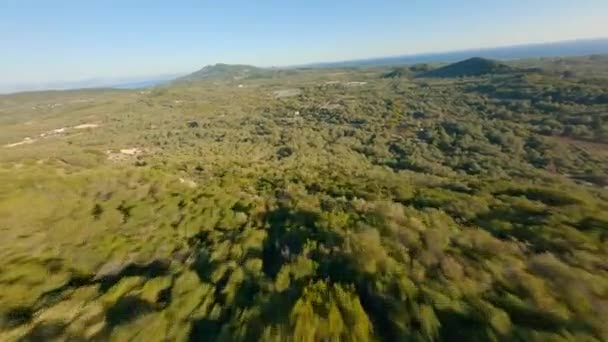 Drönare över gröna skogen i Korfu Landskap — Stockvideo